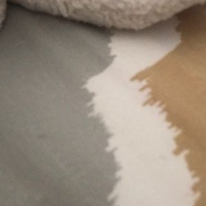 Meet your Posher, Rodney